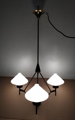 Opaline Glass Chandelier from Stilnovo, 1950s-EI-936206