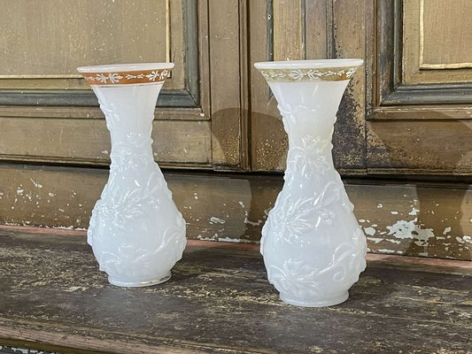 Opaline Vases, Early 20th Century, Set of 2-QYF-1763108