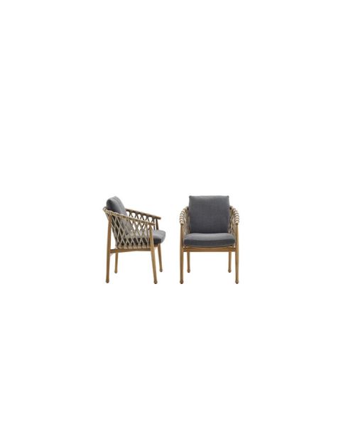 Ginestra Armchairs by B&B Italia