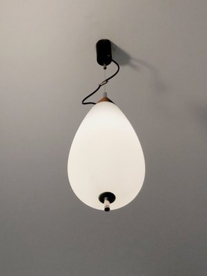 Ovoid Pendant in White Opalin Glass and Brown Wood by Goffredo Reggiani, 1960-NLF-1719470