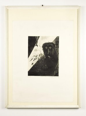 Owl - Original Etching by Leo Guida - 1972 1972-ZCI-755264