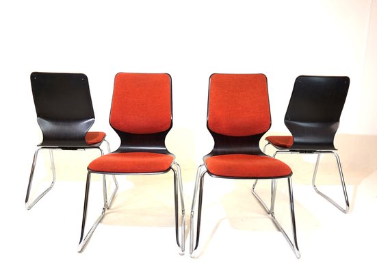 Pagholz Chairs by Elmar Flötto for Flötotto, 1970s, Set of 4-HUW-1736799