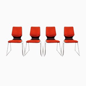 Pagholz Chairs by Elmar Flötto for Flötotto, 1970s, Set of 4-HUW-1736799