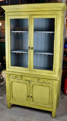 Painted Cupboard, 1950s-ROJ-591454