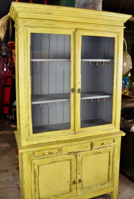 Painted Cupboard, 1950s-ROJ-591454