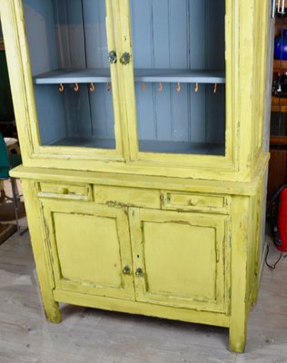 Painted Cupboard, 1950s-ROJ-591454