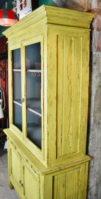 Painted Cupboard, 1950s-ROJ-591454