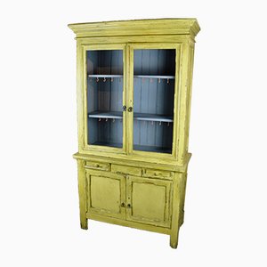 Painted Cupboard, 1950s-ROJ-591454