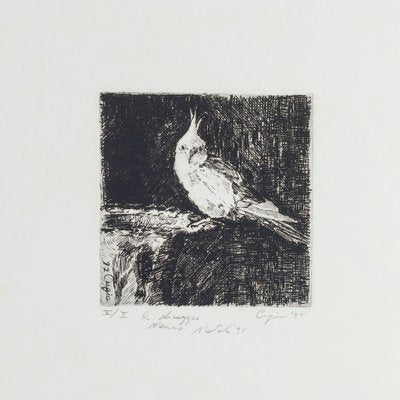 Parrot - Original Etching on Paper by Valerio Cugia - 1995 1995-ZCI-768601