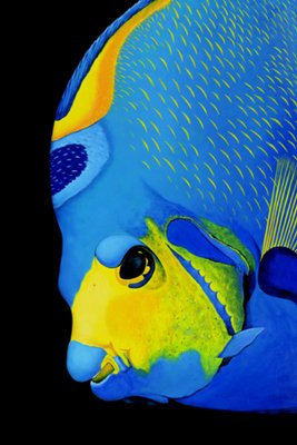 Patrick Chevailler, #501 Queen Angelfish Portrait, 2010-QNR-1030969