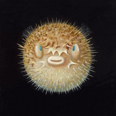 Patrick Chevailler, 698 Scared Pufferfish, 2021-QNR-1049206