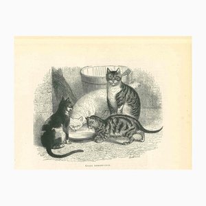 Paul Gervais, The Cats and Kitty, Lithograph, 1854-ZCI-1165560