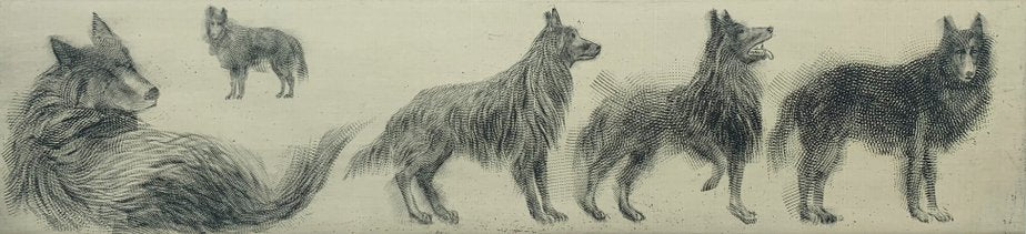 Pawel Zablocki, Second Plate with Five Belgian Sheep Dogs, 2009, Etching & Paper-XHG-2016549