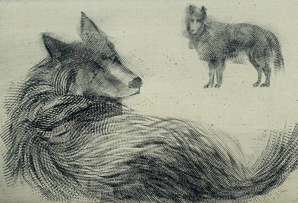 Pawel Zablocki, Second Plate with Five Belgian Sheep Dogs, 2009, Etching & Paper-XHG-2016549