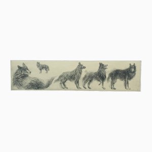 Pawel Zablocki, Second Plate with Five Belgian Sheep Dogs, 2009, Etching & Paper-XHG-2016549