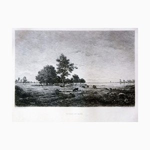 Paysage du Berri - Etching and Aquatint After Théodore Rousseau - Late 1800 End of 19th Century-ZCI-760931