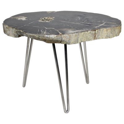 Petrified Wood Coffee Table on Stainless Steel Feet-TQA-1322060