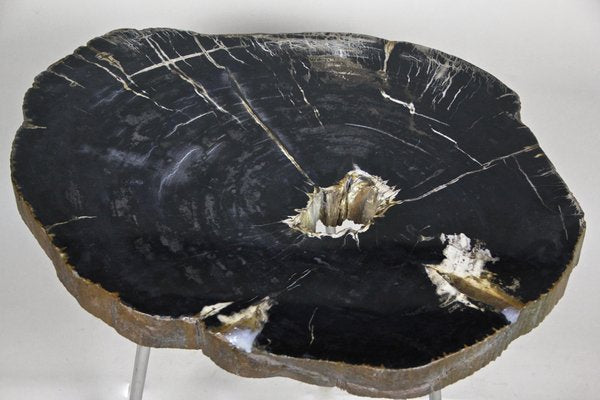 Petrified Wood Coffee Table on Stainless Steel Feet-TQA-1322060