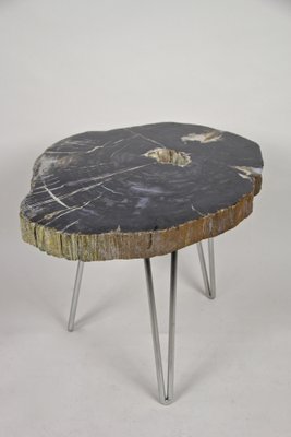 Petrified Wood Coffee Table on Stainless Steel Feet-TQA-1322060