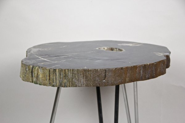 Petrified Wood Coffee Table on Stainless Steel Feet-TQA-1322060