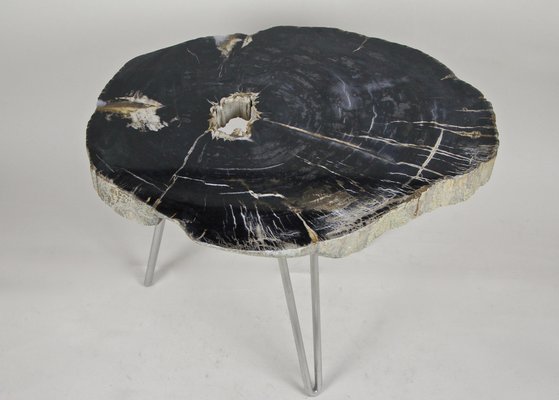 Petrified Wood Coffee Table on Stainless Steel Feet-TQA-1322060