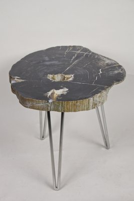 Petrified Wood Coffee Table on Stainless Steel Feet-TQA-1322060