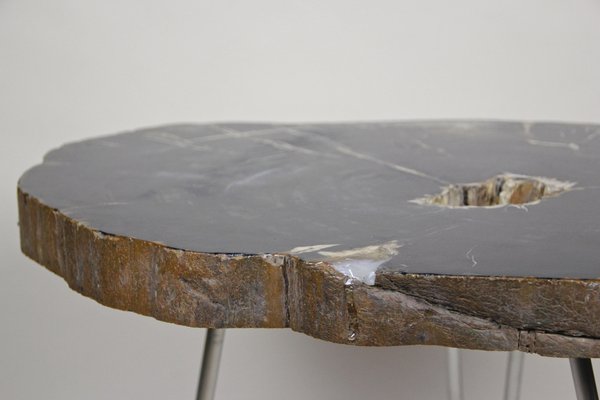 Petrified Wood Coffee Table on Stainless Steel Feet-TQA-1322060