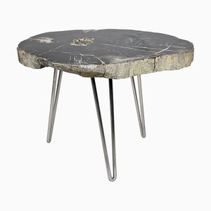 Petrified Wood Coffee Table on Stainless Steel Feet-TQA-1322060