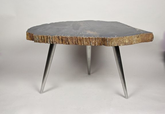 Petrified Wood Coffee Table with Stainless Steel Feet-TQA-1322056