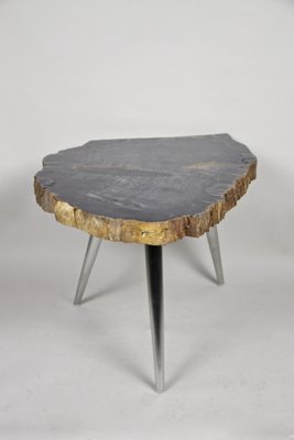 Petrified Wood Coffee Table with Stainless Steel Feet-TQA-1322056