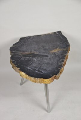 Petrified Wood Coffee Table with Stainless Steel Feet-TQA-1322056