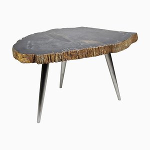 Petrified Wood Coffee Table with Stainless Steel Feet-TQA-1322056