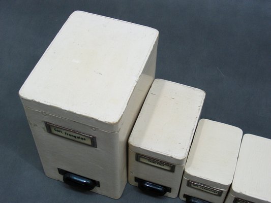 Pharmacy Containers, 1970s, Set of 5-WVA-1780777