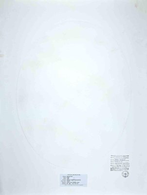 Piero Dorazio, Oval, Etching, 1987-ZCI-1788942