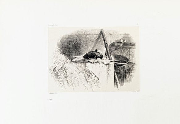 Pigeon - Original Lithograph by Karl Bodmer - Late 19th Century Late 19th Century-ZCI-760828