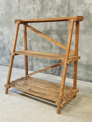 Pine Wood Etagere Plant Ladder Shelving Rack, 1950s-IFQ-2017477