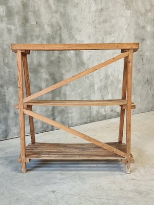 Pine Wood Etagere Plant Ladder Shelving Rack, 1950s-IFQ-2017477