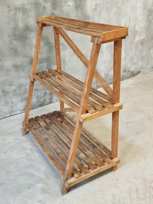 Pine Wood Etagere Plant Ladder Shelving Rack, 1950s-IFQ-2017477