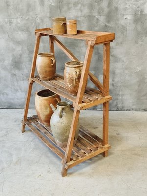 Pine Wood Etagere Plant Ladder Shelving Rack, 1950s-IFQ-2017477