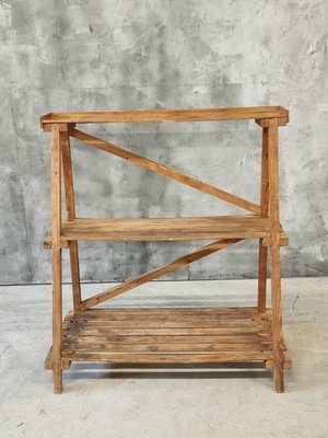 Pine Wood Etagere Plant Ladder Shelving Rack, 1950s-IFQ-2017477