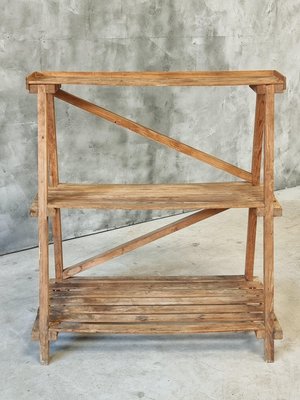 Pine Wood Etagere Plant Ladder Shelving Rack, 1950s-IFQ-2017477