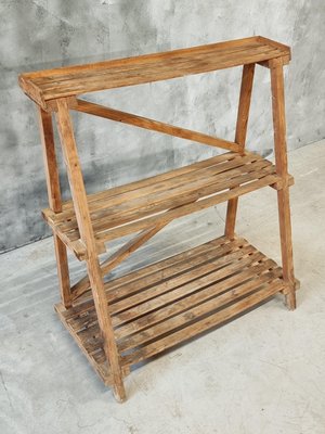 Pine Wood Etagere Plant Ladder Shelving Rack, 1950s-IFQ-2017477