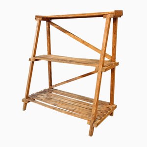 Pine Wood Etagere Plant Ladder Shelving Rack, 1950s-IFQ-2017477