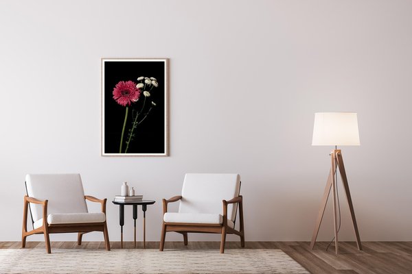 Pink and White Delicate Flowers on Black Background, Giclée Print, 2021-RWC-1451973