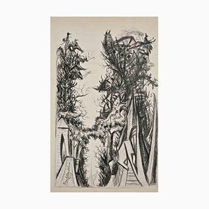 Pino della Selva, Trees, Original Charcoal Drawing, Early 20th Century-ZCI-1383693