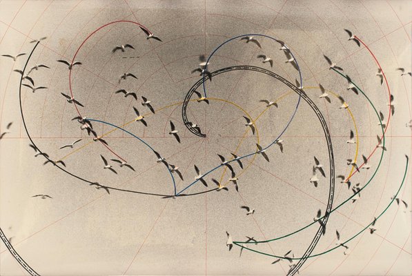 Pino Settanni, Flight of Swallows, 2000s, Original Mixed Media-ZCI-792527