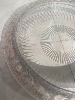 Plate Le Margherite by René Lalique, 1933-KHC-1805274