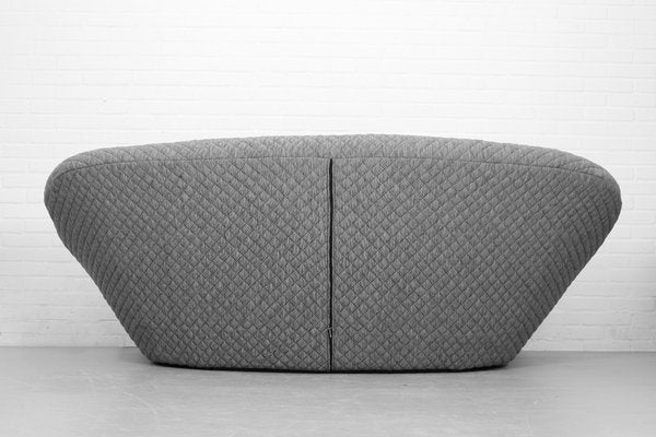 Ploum 3-Seat Sofa and Ottoman by E. & R. Bouroullec for Ligne Roset, 2000s, Set of 2-ZA-1543006