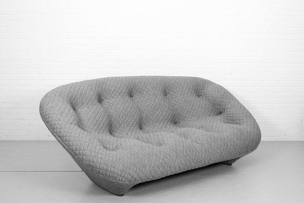 Ploum 3-Seat Sofa and Ottoman by E. & R. Bouroullec for Ligne Roset, 2000s, Set of 2-ZA-1543006