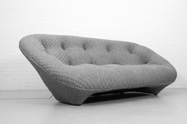 Ploum 3-Seat Sofa and Ottoman by E. & R. Bouroullec for Ligne Roset, 2000s, Set of 2-ZA-1543006